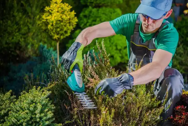 landscaping services Saline